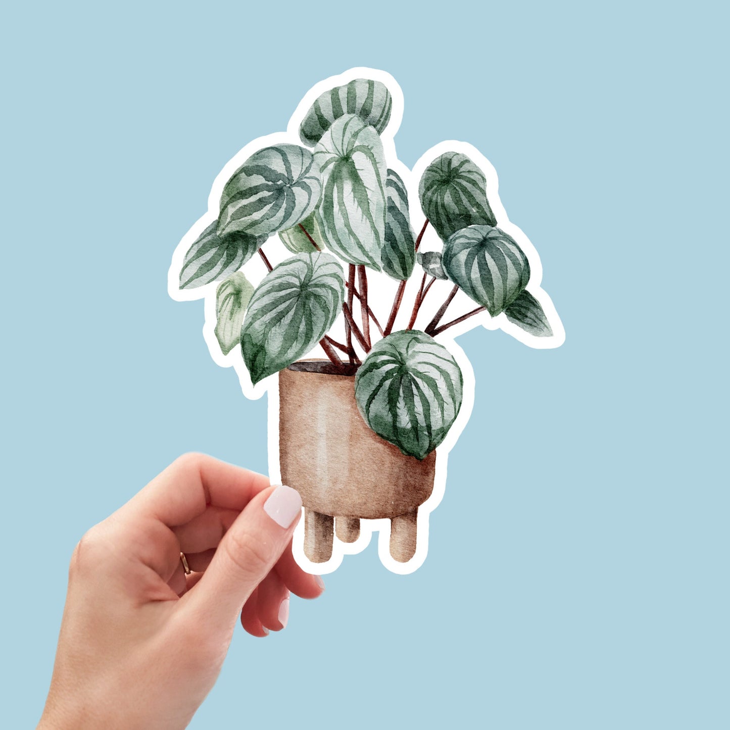 House plants Sticker, Waterproof and Dishwasher Safe Handmade cute Vinyl Sticker for gift, planner, book and laptop stickers