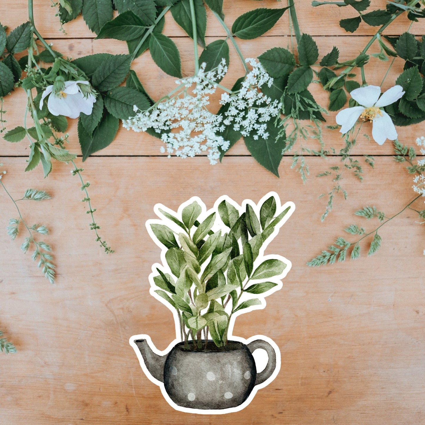 House plants Sticker, Waterproof and Dishwasher Safe Handmade cute Vinyl Sticker for gift, planner, book and laptop stickers