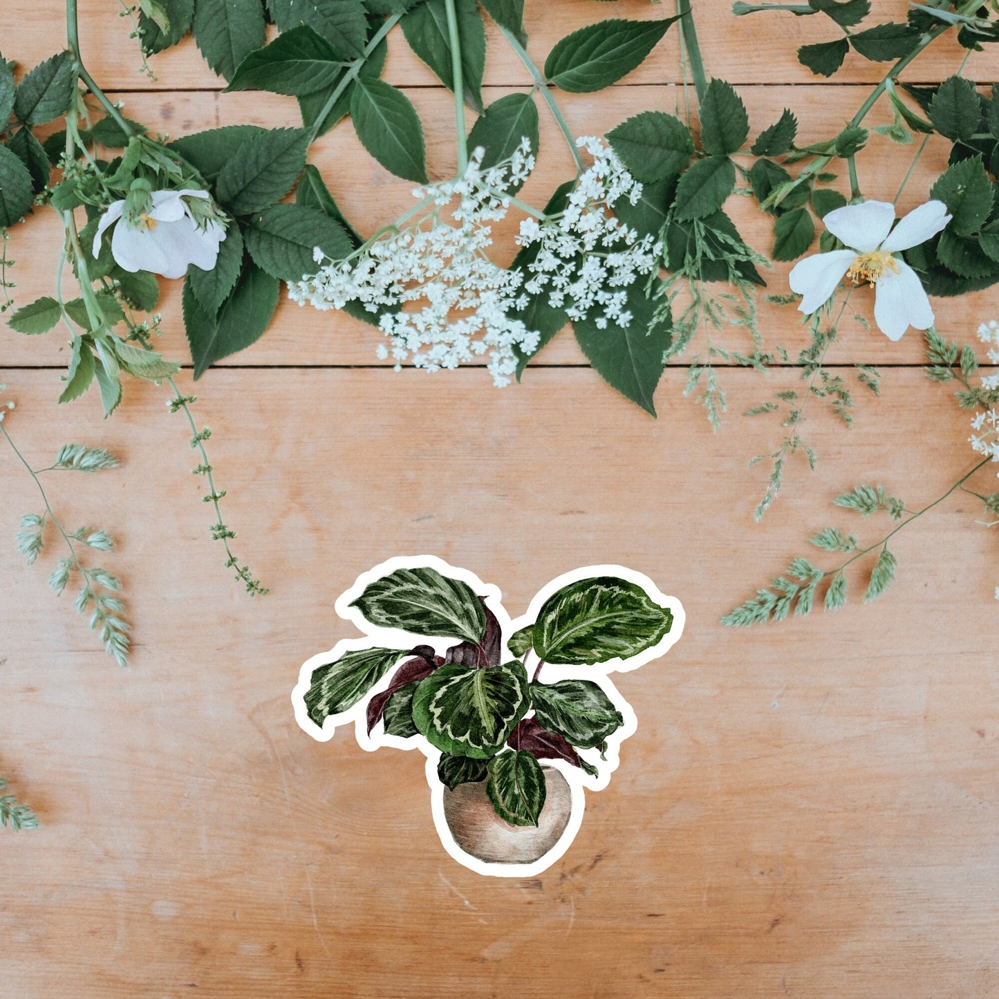 House plants Sticker, Waterproof and Dishwasher Safe Handmade cute Vinyl Sticker for gift, planner, book and laptop stickers