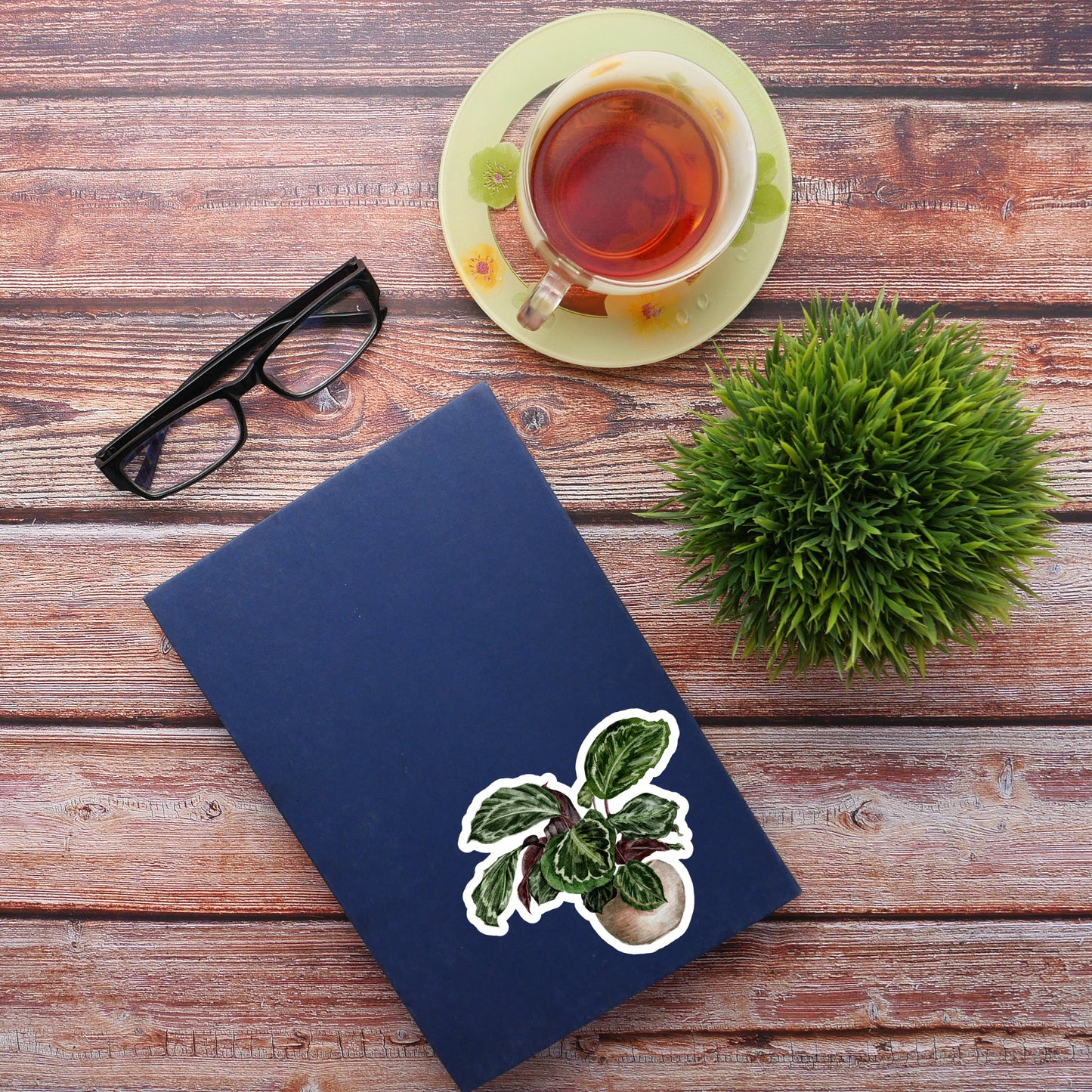 House plants Sticker, Waterproof and Dishwasher Safe Handmade cute Vinyl Sticker for gift, planner, book and laptop stickers