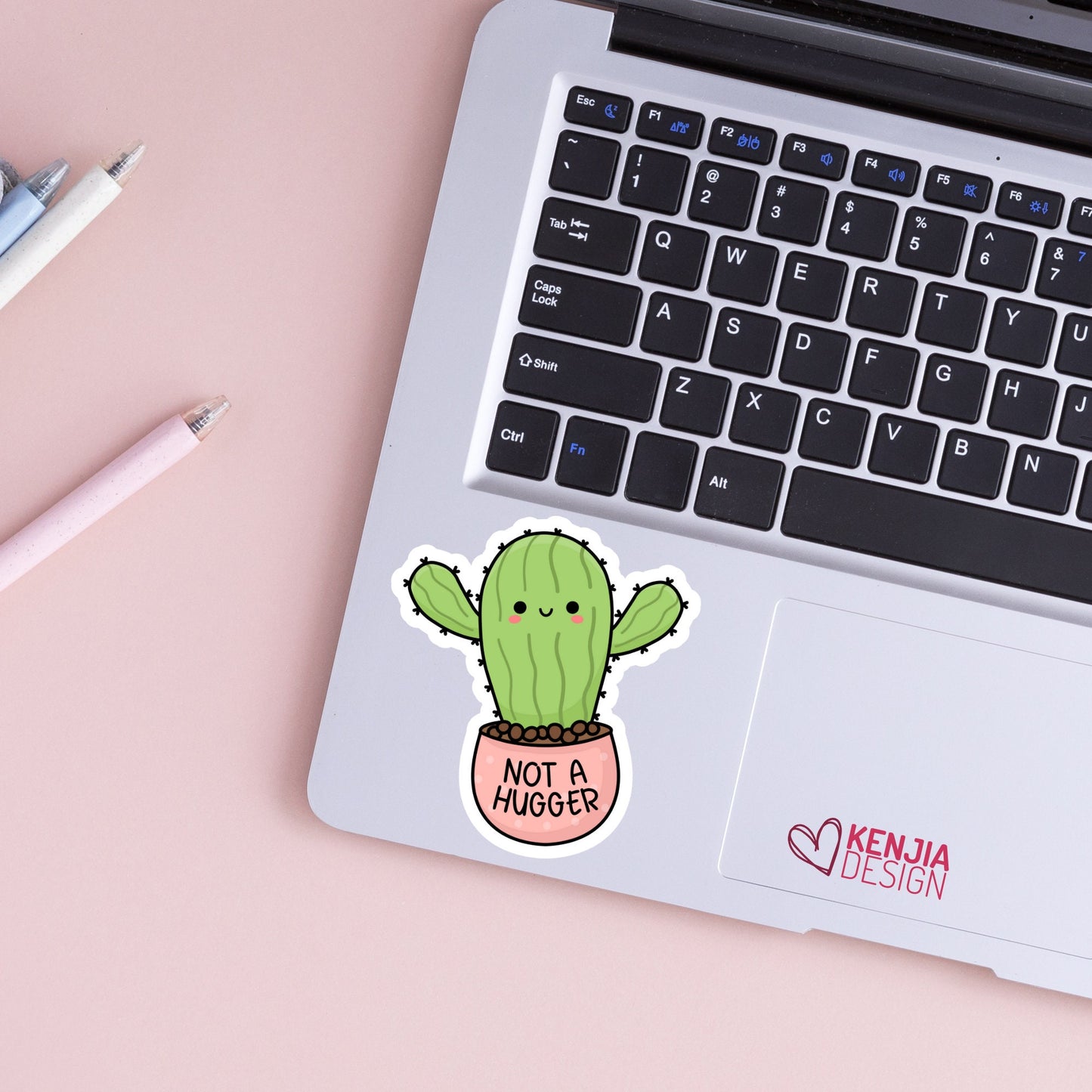 Not a Hugger Succulent / Funny Introvert Stickers  / Autism Mental Health Matters / Retro Mental Health Awareness Cactus