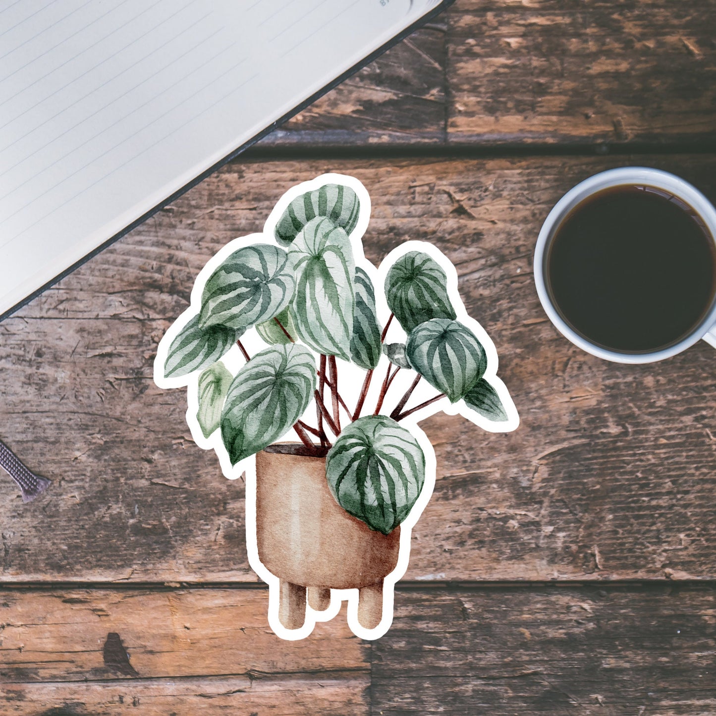 House plants Sticker, Waterproof and Dishwasher Safe Handmade cute Vinyl Sticker for gift, planner, book and laptop stickers
