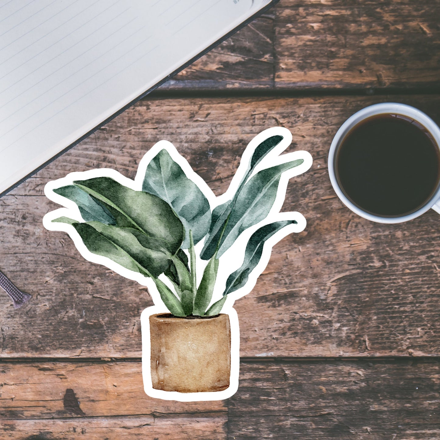 House plants Sticker, Waterproof and Dishwasher Safe Handmade cute Vinyl Sticker for gift, planner, book and laptop stickers
