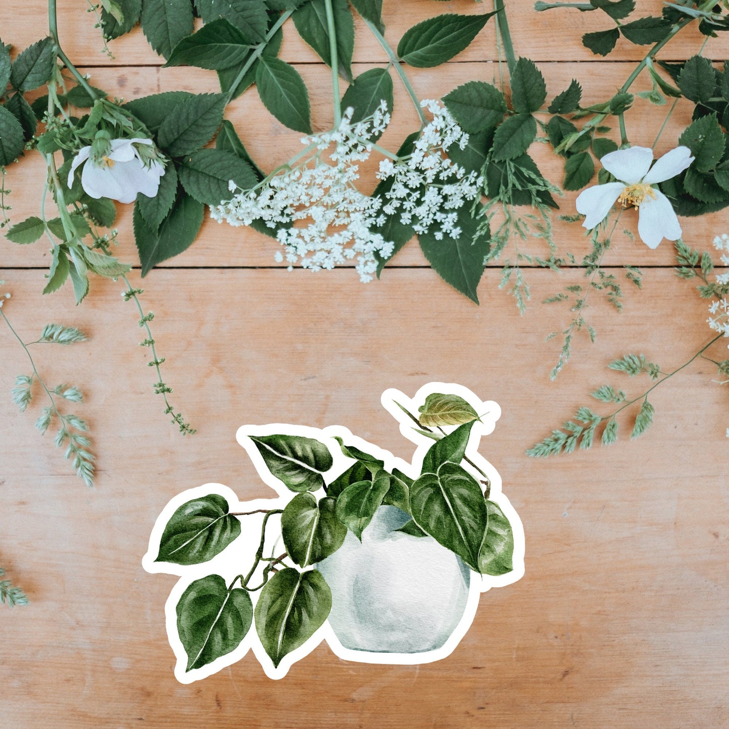 House plants Sticker, Waterproof and Dishwasher Safe Handmade cute Vinyl Sticker for gift, planner, book and laptop stickers