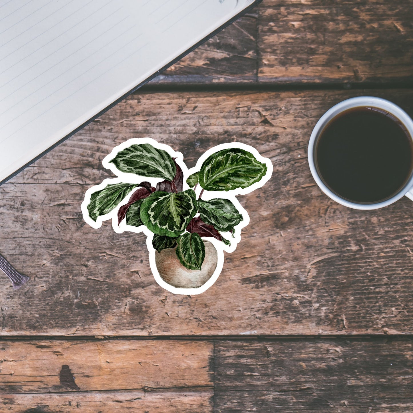 House plants Sticker, Waterproof and Dishwasher Safe Handmade cute Vinyl Sticker for gift, planner, book and laptop stickers