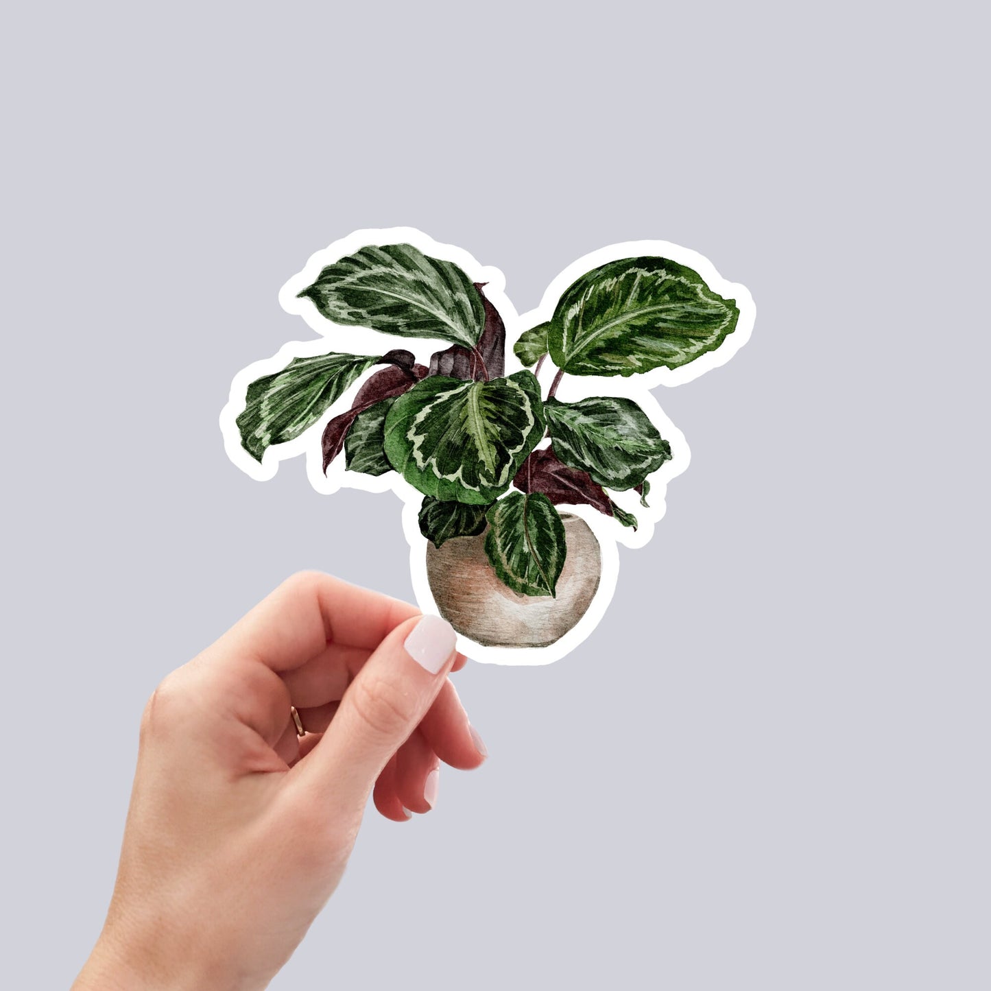 House plants Sticker, Waterproof and Dishwasher Safe Handmade cute Vinyl Sticker for gift, planner, book and laptop stickers