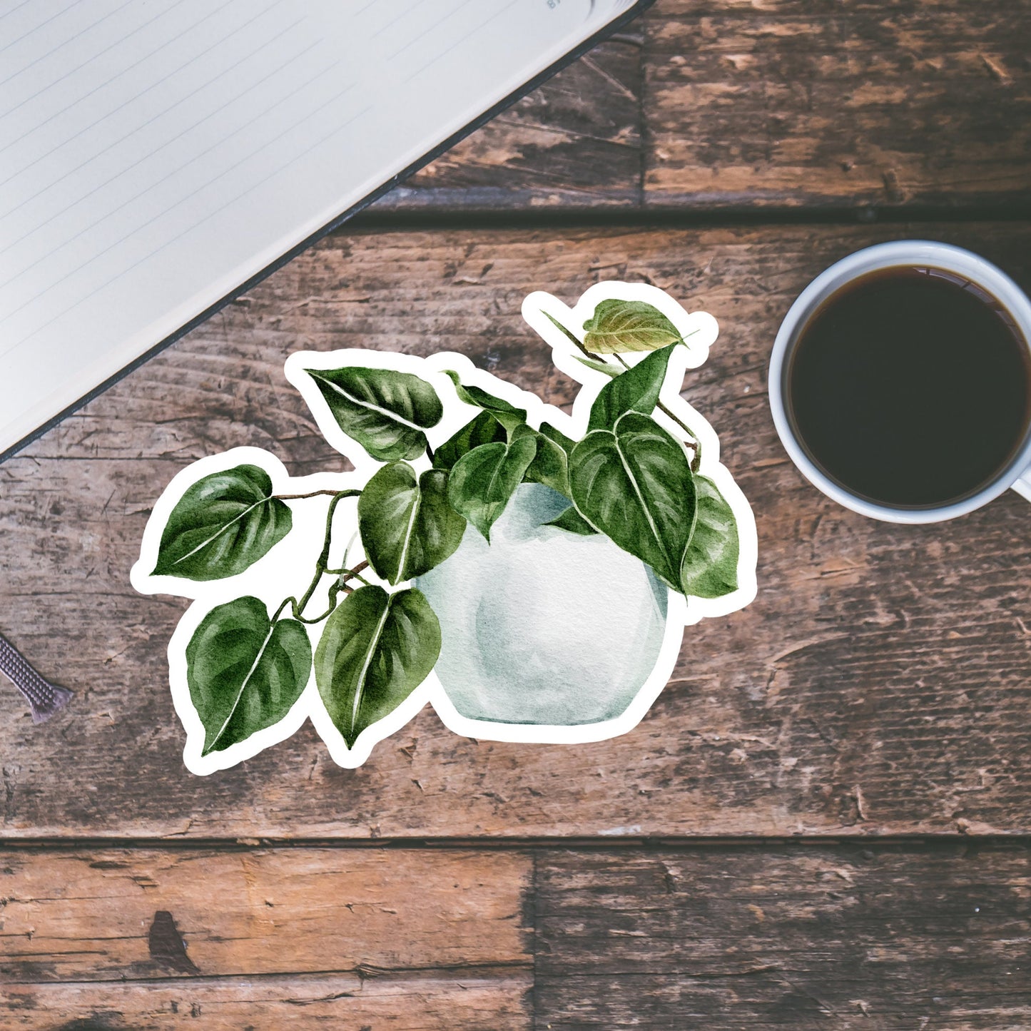 House plants Sticker, Waterproof and Dishwasher Safe Handmade cute Vinyl Sticker for gift, planner, book and laptop stickers