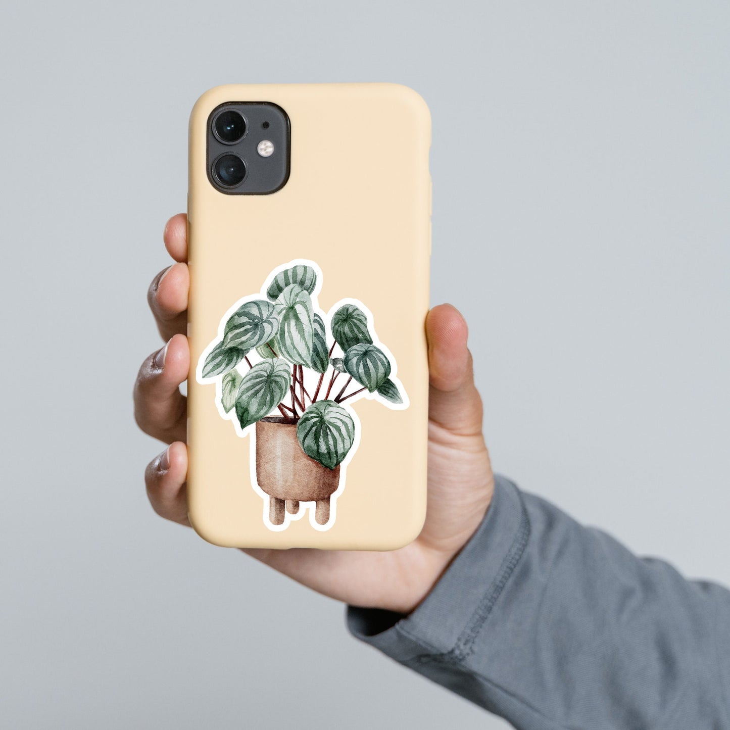 House plants Sticker, Waterproof and Dishwasher Safe Handmade cute Vinyl Sticker for gift, planner, book and laptop stickers