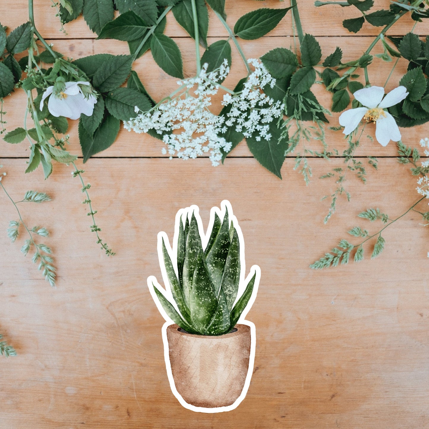 House plants Sticker, Water Resistant Handmade cute Vinyl Sticker for gift, planner, book and laptop stickers