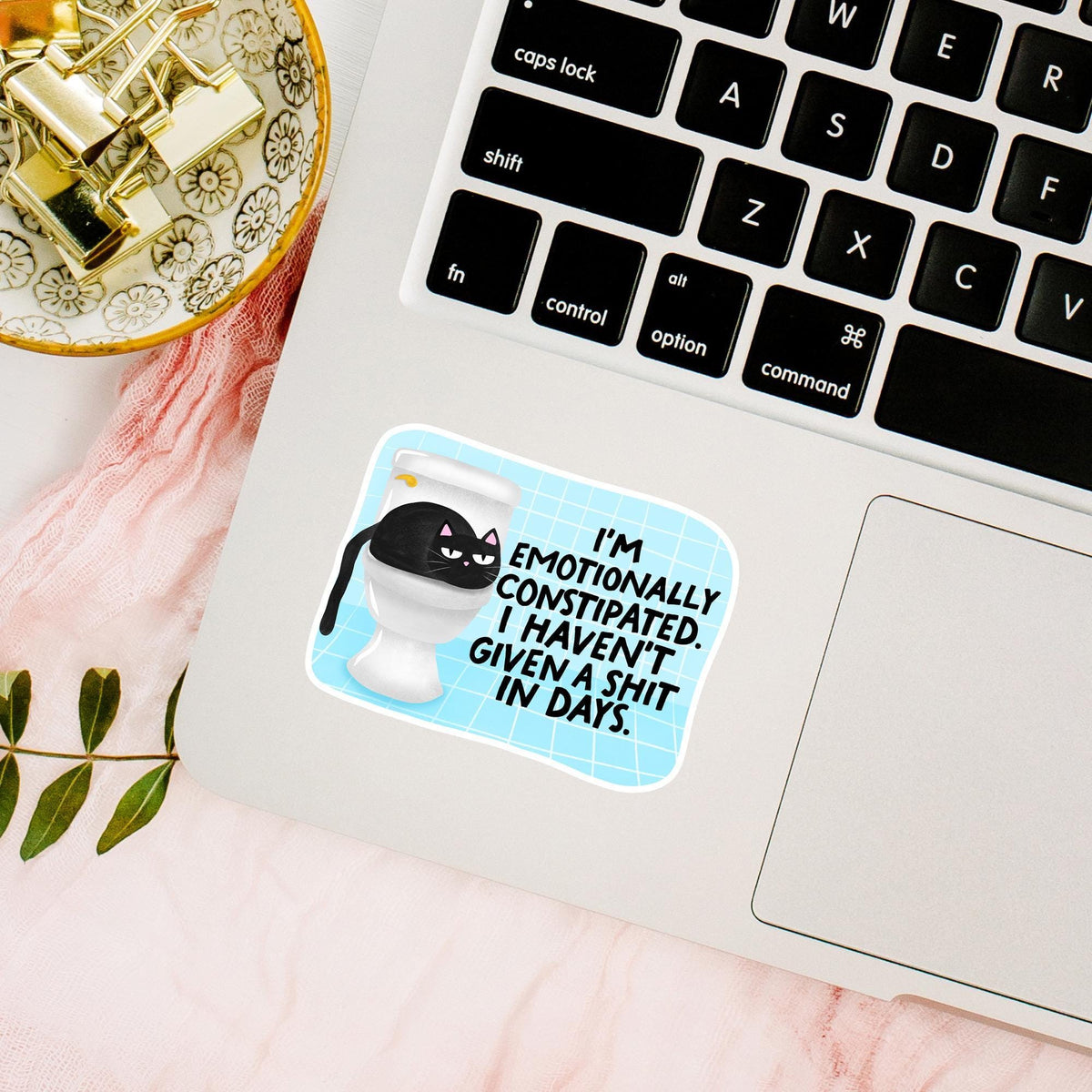 Emotionally Constipated Cat Sticker / Funny Kitty Gift / Sarcastic Humor Decal / Black Feline Lover / Rude Bathroom Art / Snarky Present