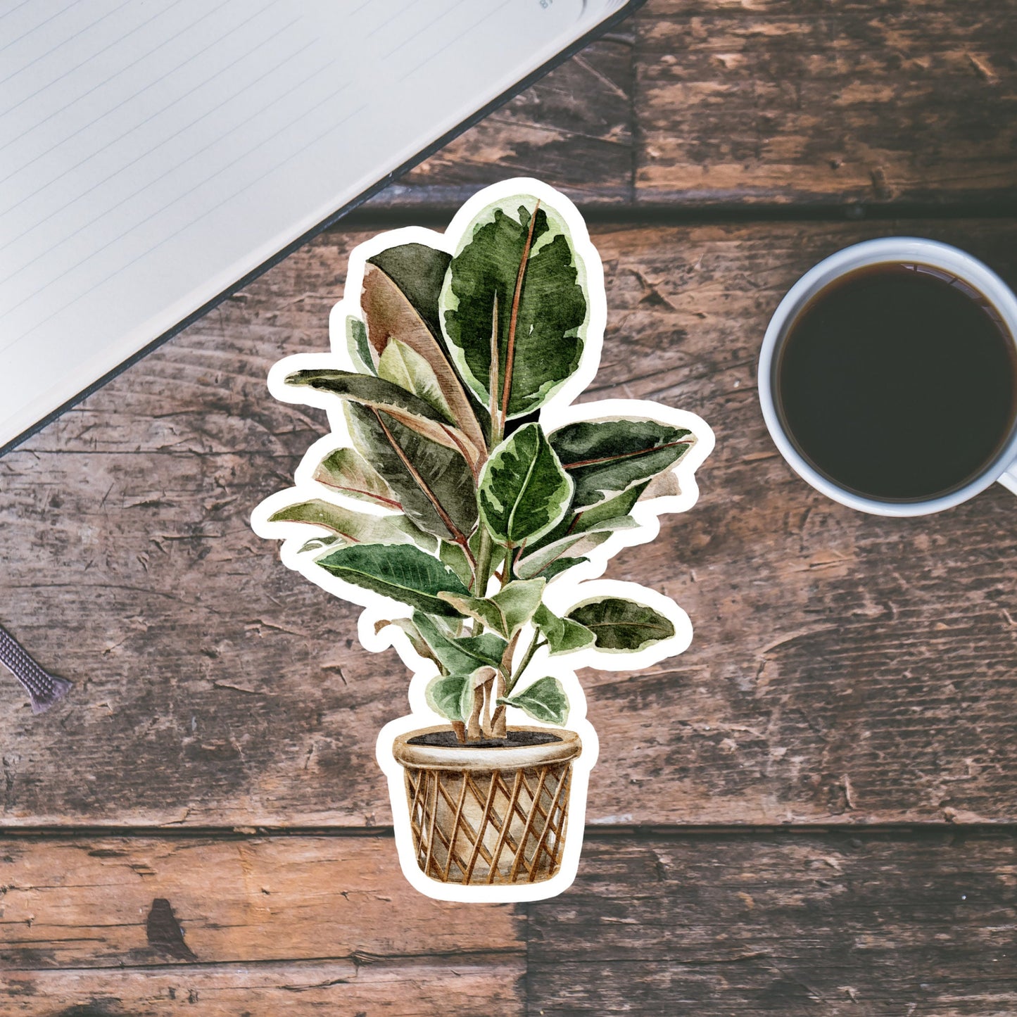 House plants Sticker, Waterproof and Dishwasher Safe Handmade cute Vinyl Sticker for gift, planner, book and laptop stickers
