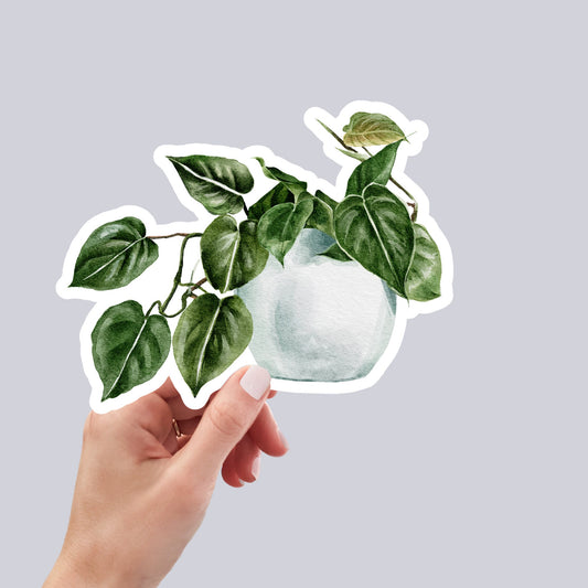 House plants Sticker, Waterproof and Dishwasher Safe Handmade cute Vinyl Sticker for gift, planner, book and laptop stickers
