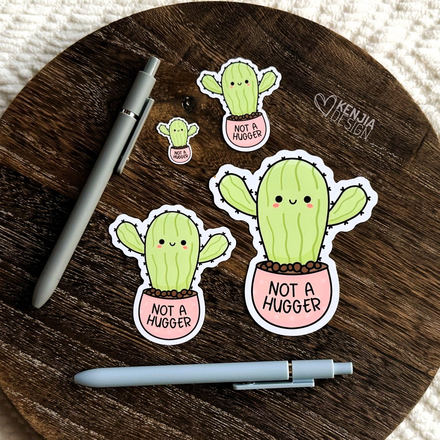 Not a Hugger Succulent / Funny Introvert Stickers  / Autism Mental Health Matters / Retro Mental Health Awareness Cactus