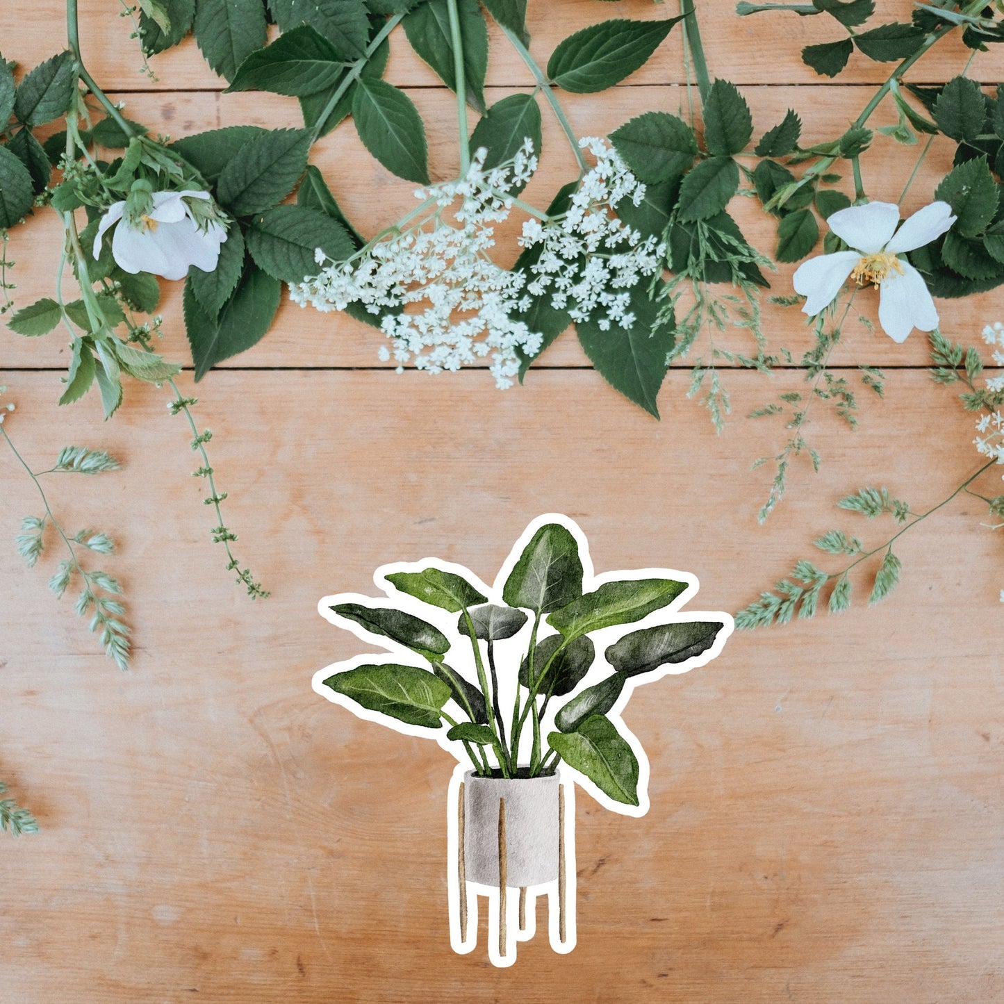 House plants Sticker, Waterproof and Dishwasher Safe Handmade cute Vinyl Sticker for gift, planner, book and laptop stickers