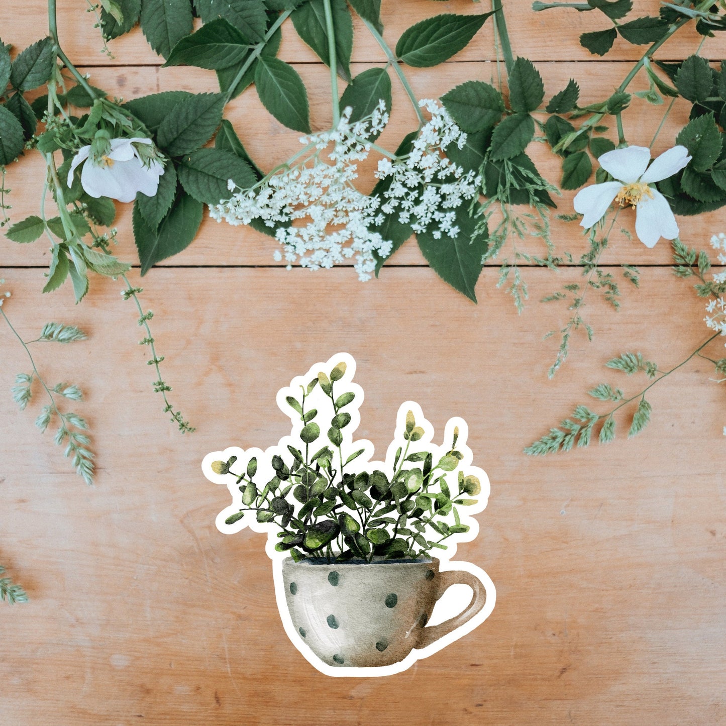 House plants Sticker, Waterproof and Dishwasher Safe Handmade cute Vinyl Sticker for gift, planner, book and laptop stickers