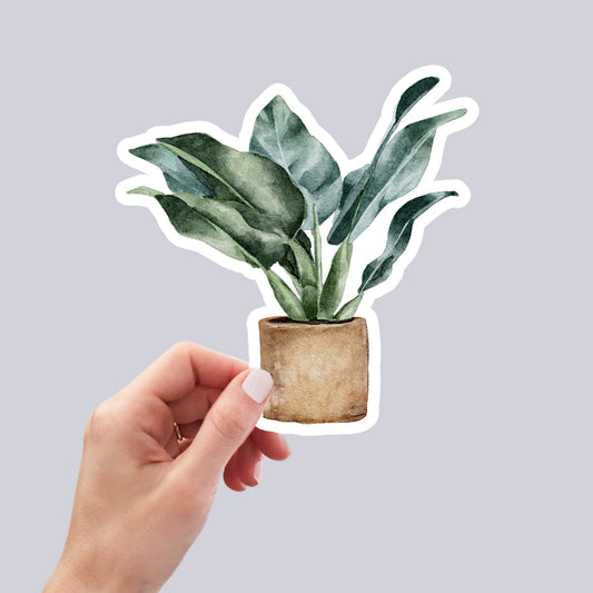 House plants Sticker, Waterproof and Dishwasher Safe Handmade cute Vinyl Sticker for gift, planner, book and laptop stickers