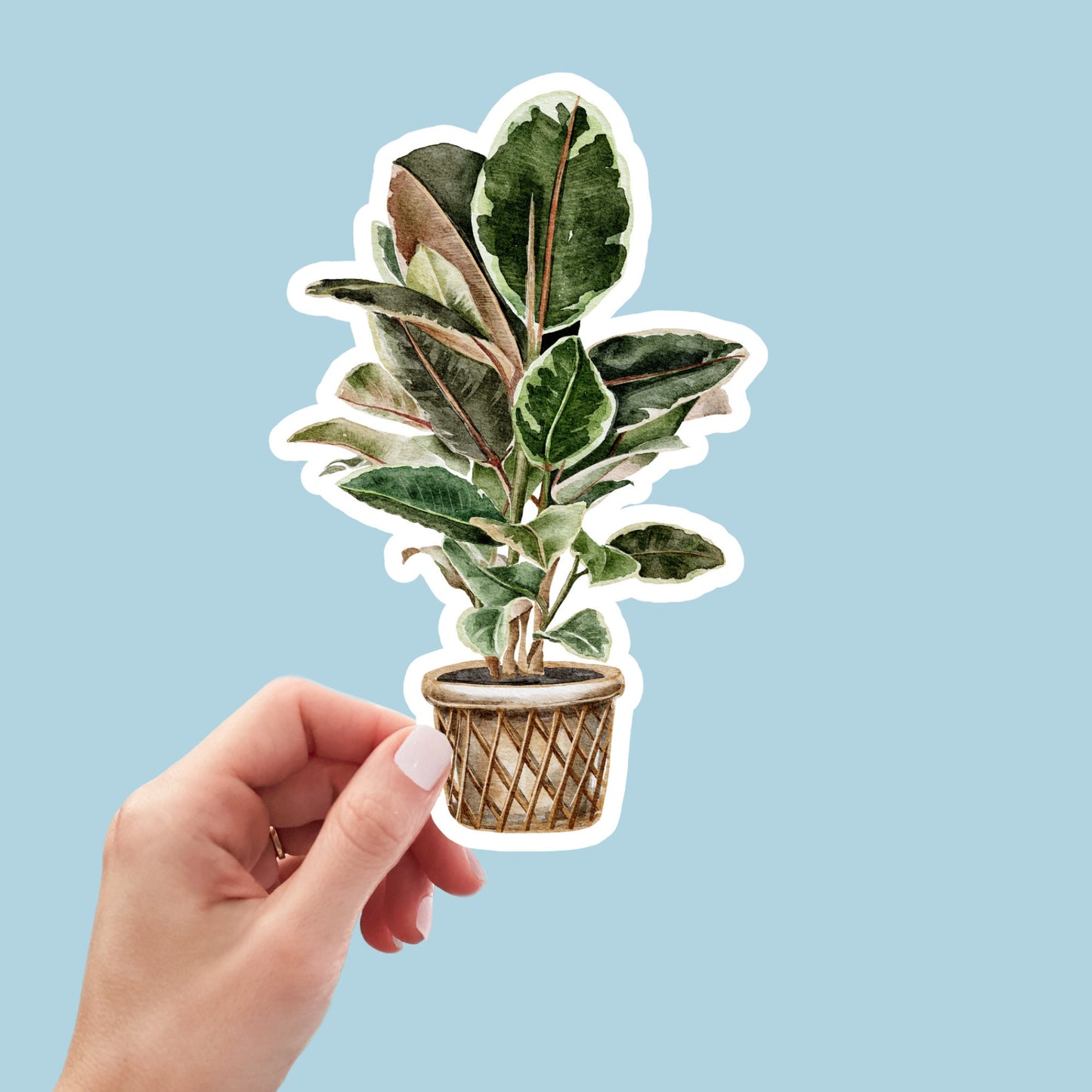 House plants Sticker, Waterproof and Dishwasher Safe Handmade cute Vinyl Sticker for gift, planner, book and laptop stickers