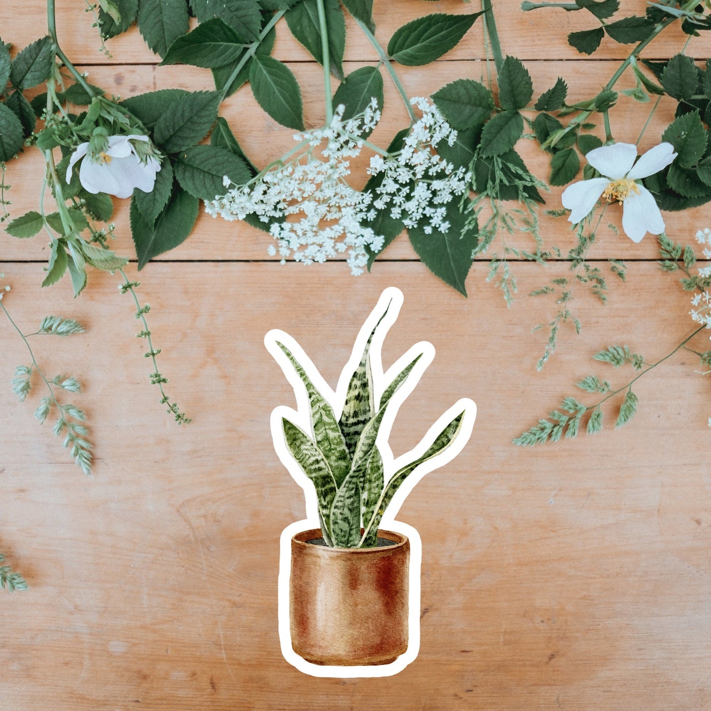 House plants Sticker,  Waterproof and Dishwasher Safe Handmade cute Vinyl Sticker for gift, planner, book and laptop stickers