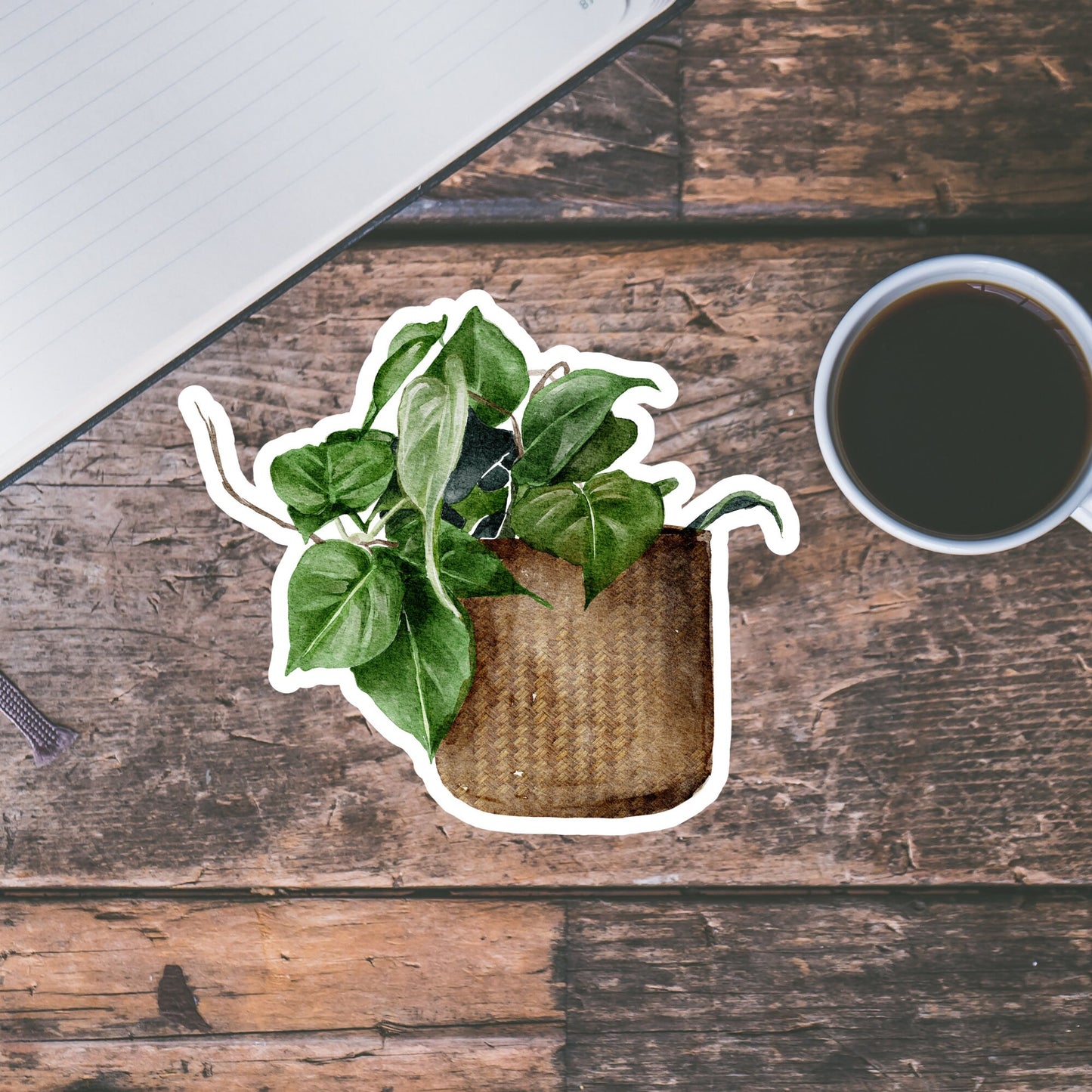 House plants Sticker, Waterproof and Dishwasher Safe Handmade cute Vinyl Sticker for gift, planner, book and laptop stickers
