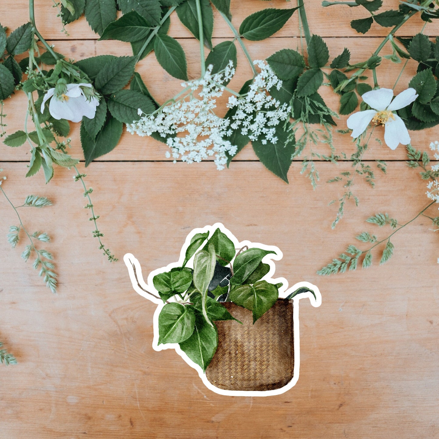 House plants Sticker, Waterproof and Dishwasher Safe Handmade cute Vinyl Sticker for gift, planner, book and laptop stickers