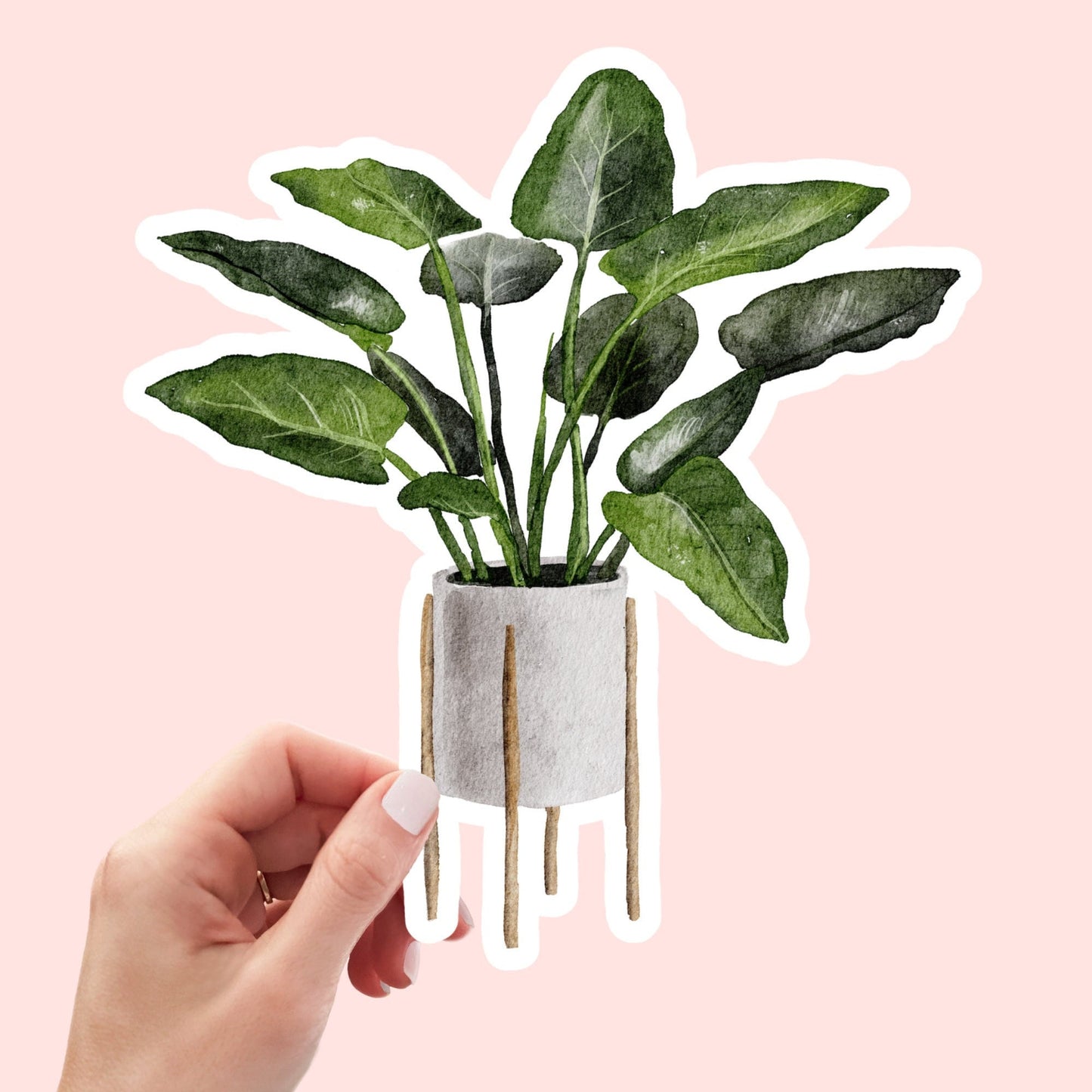 House plants Sticker, Waterproof and Dishwasher Safe Handmade cute Vinyl Sticker for gift, planner, book and laptop stickers