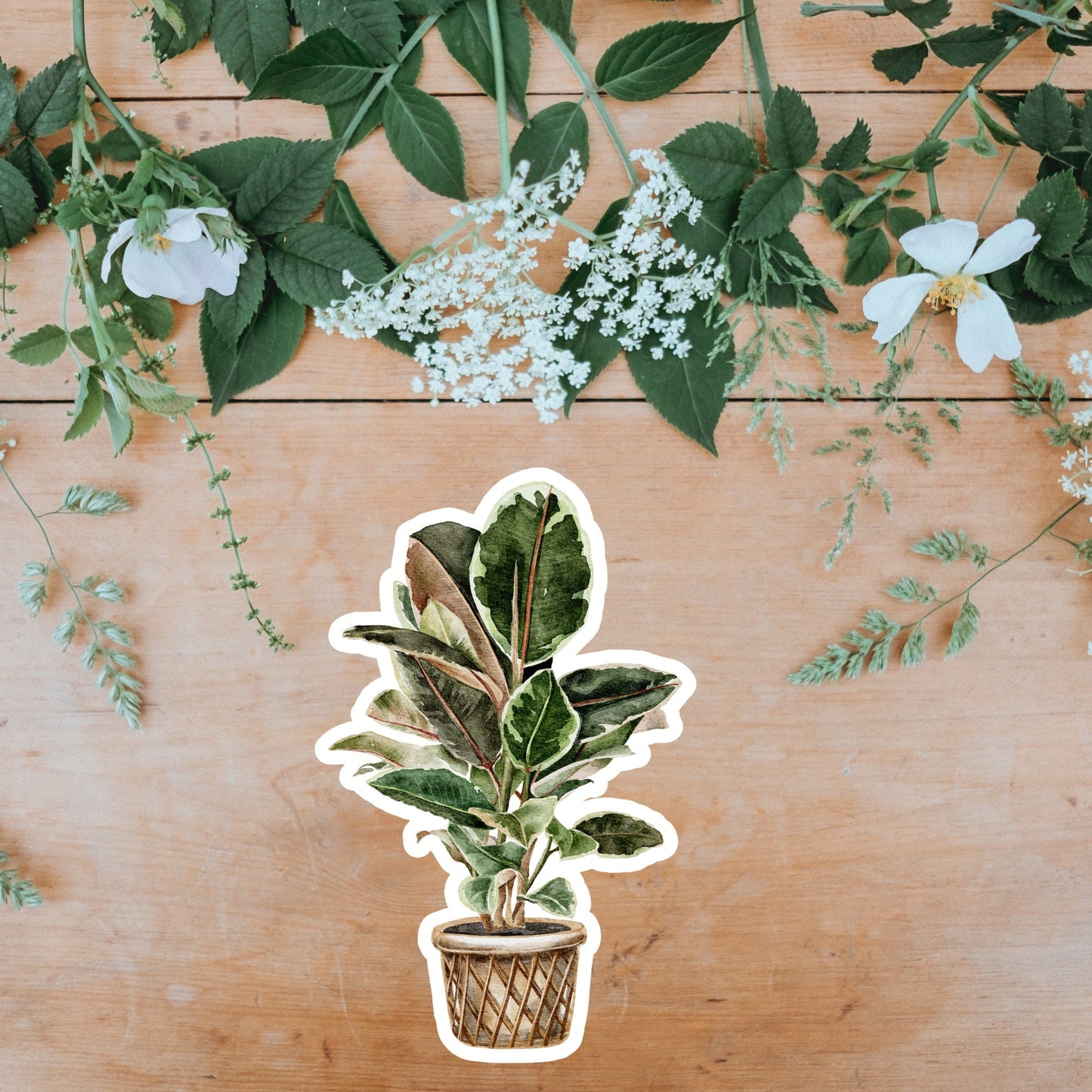 House plants Sticker, Waterproof and Dishwasher Safe Handmade cute Vinyl Sticker for gift, planner, book and laptop stickers