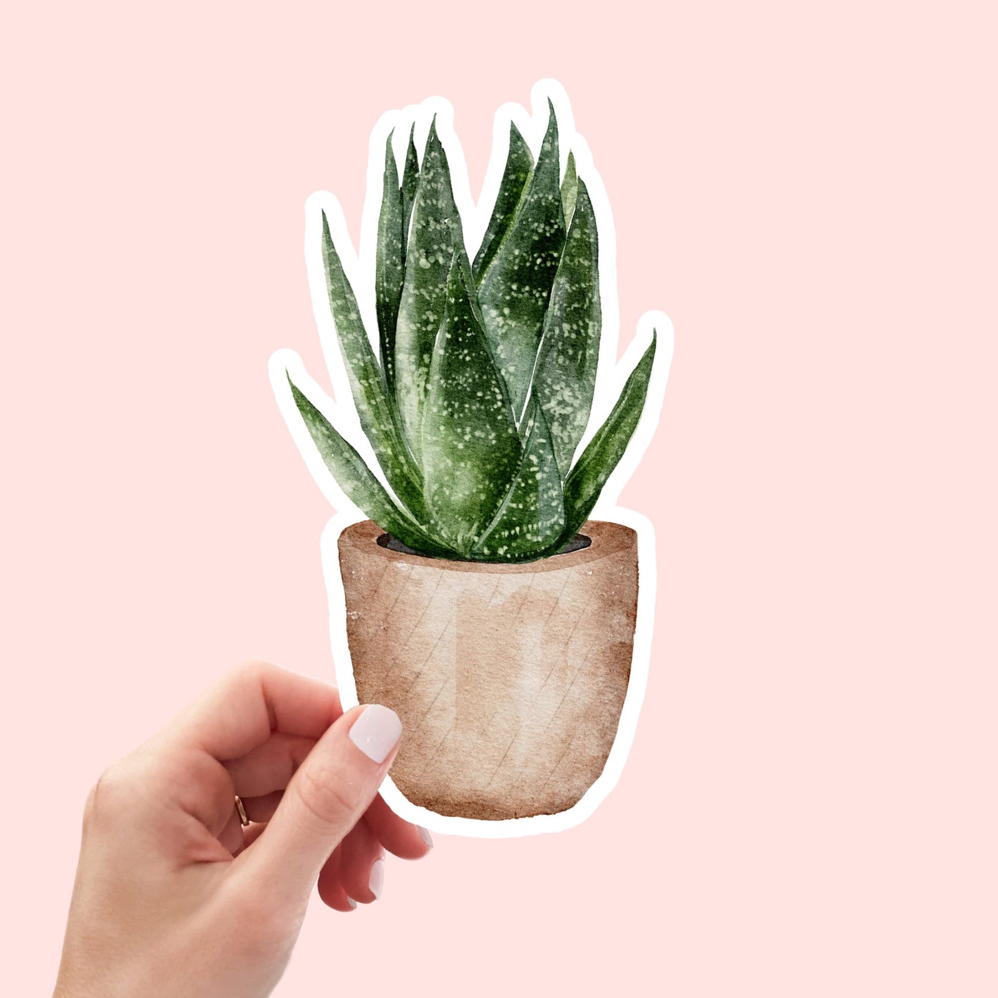 House plants Sticker, Water Resistant Handmade cute Vinyl Sticker for gift, planner, book and laptop stickers
