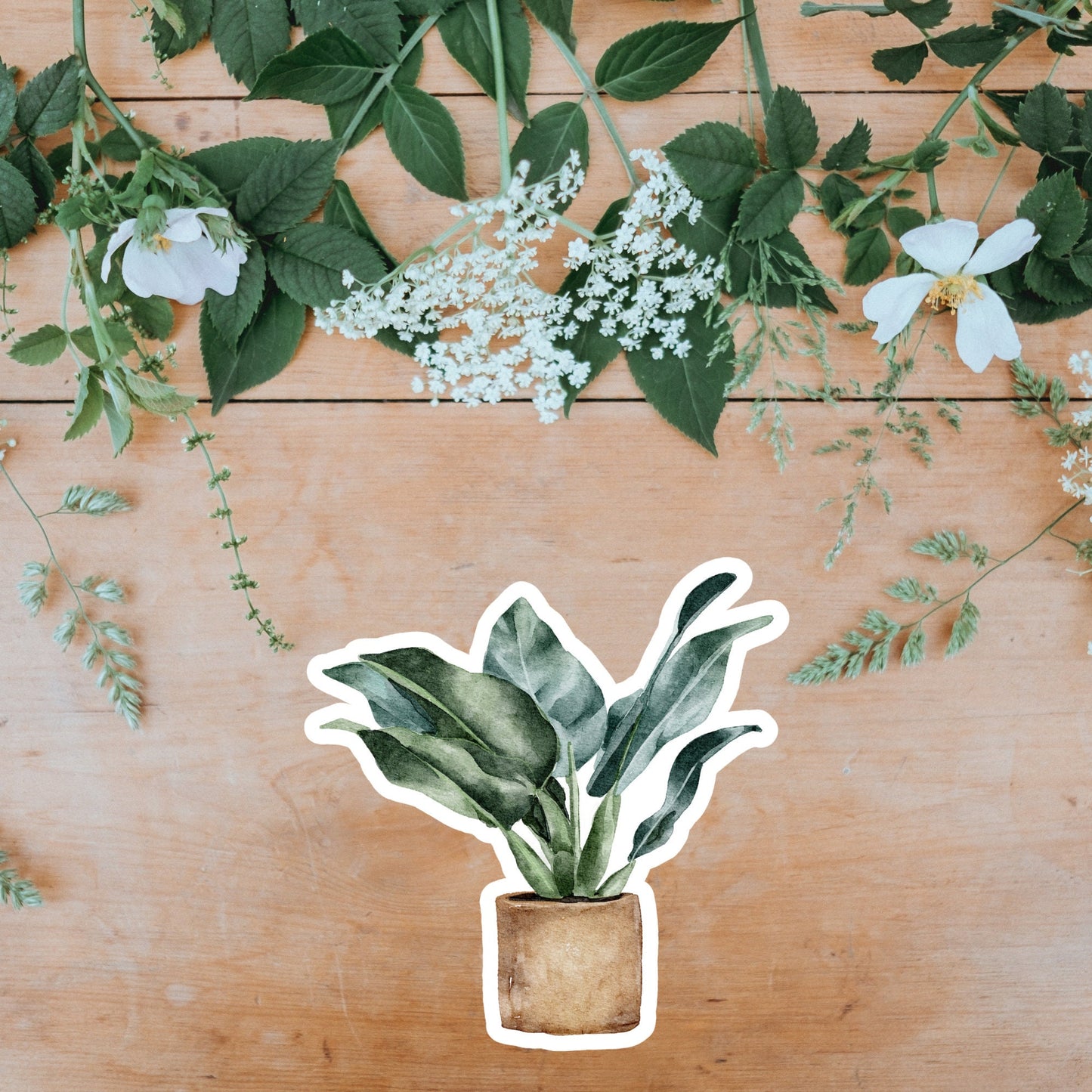 House plants Sticker, Waterproof and Dishwasher Safe Handmade cute Vinyl Sticker for gift, planner, book and laptop stickers