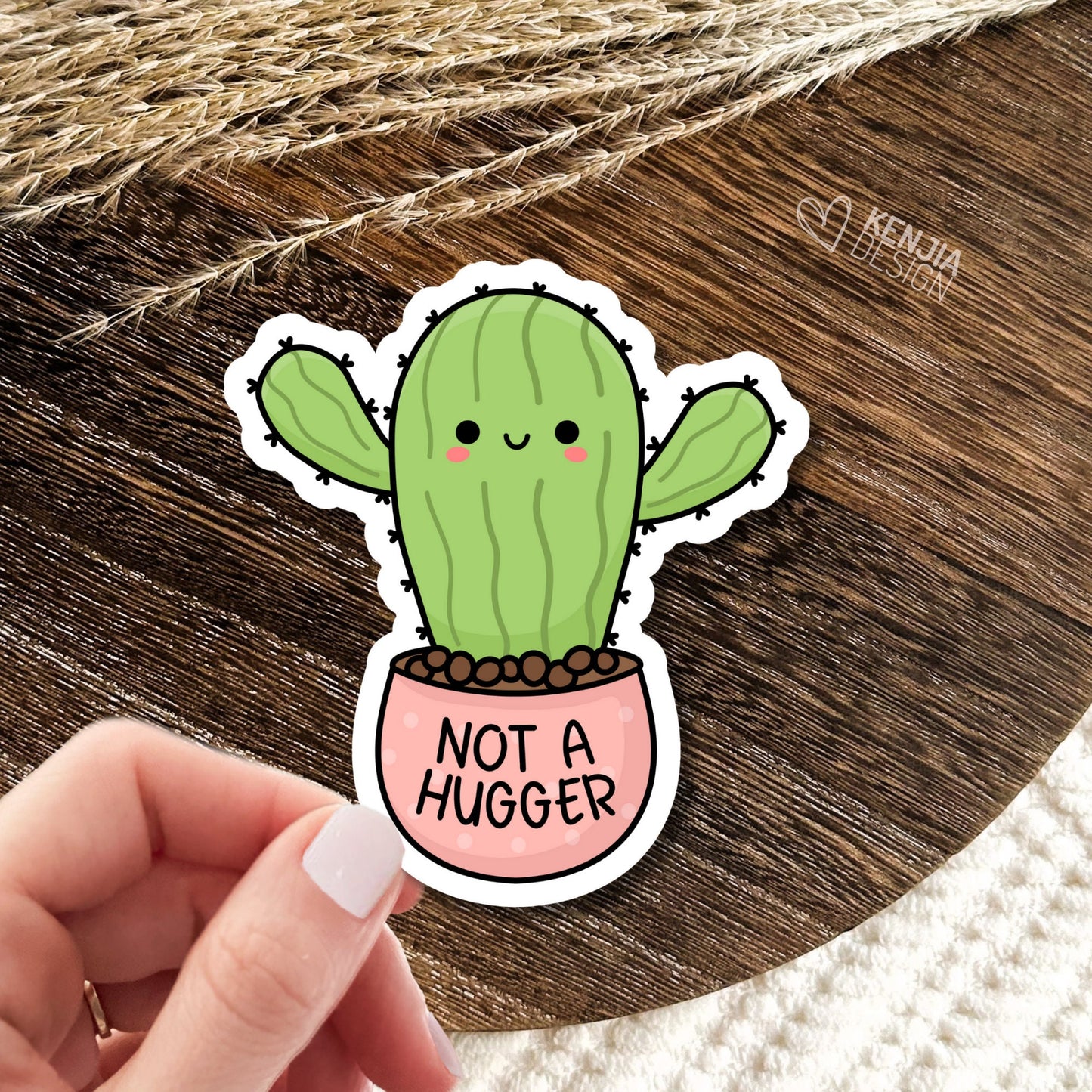 Not a Hugger Succulent / Funny Introvert Stickers  / Autism Mental Health Matters / Retro Mental Health Awareness Cactus