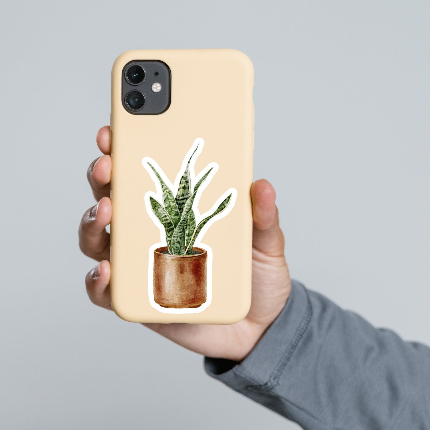 House plants Sticker,  Waterproof and Dishwasher Safe Handmade cute Vinyl Sticker for gift, planner, book and laptop stickers