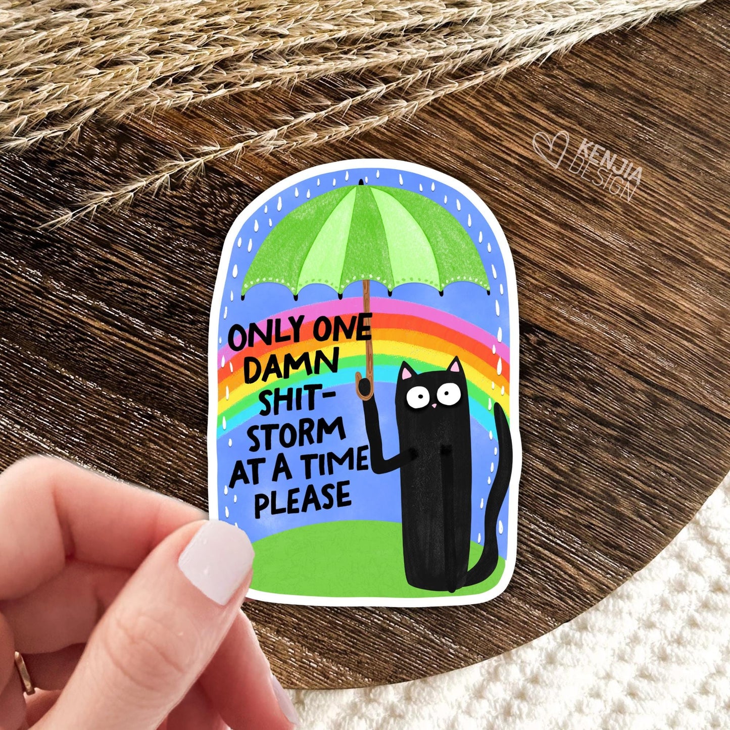 Only One Damn Shit-Storm At A Time Please Stickers / Mental Health Stickers / You Are Enough / Motivational Quote / Kindle Stickers