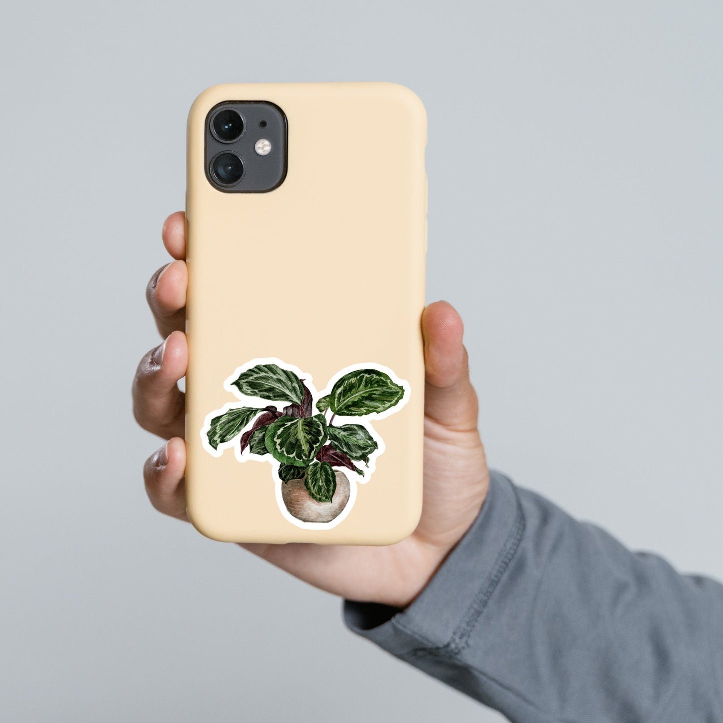 House plants Sticker, Waterproof and Dishwasher Safe Handmade cute Vinyl Sticker for gift, planner, book and laptop stickers