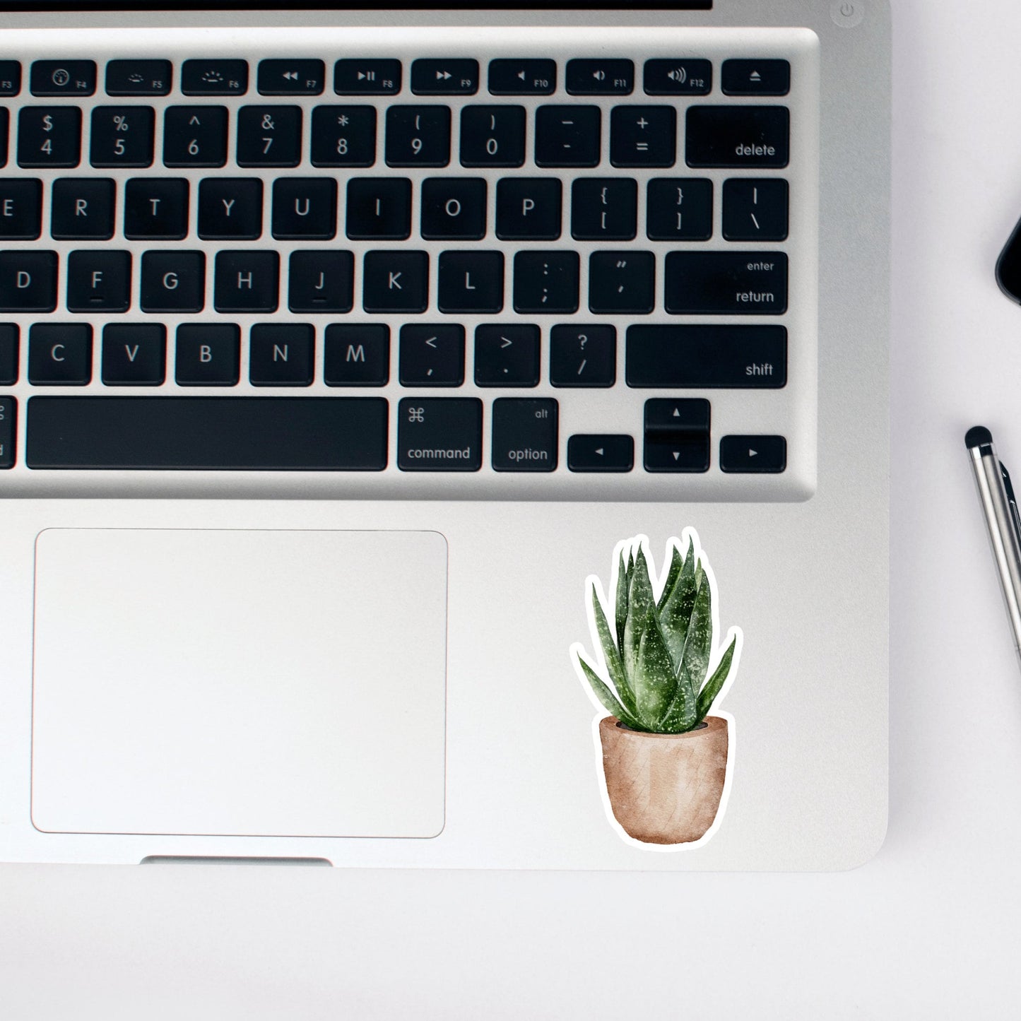 House plants Sticker, Water Resistant Handmade cute Vinyl Sticker for gift, planner, book and laptop stickers
