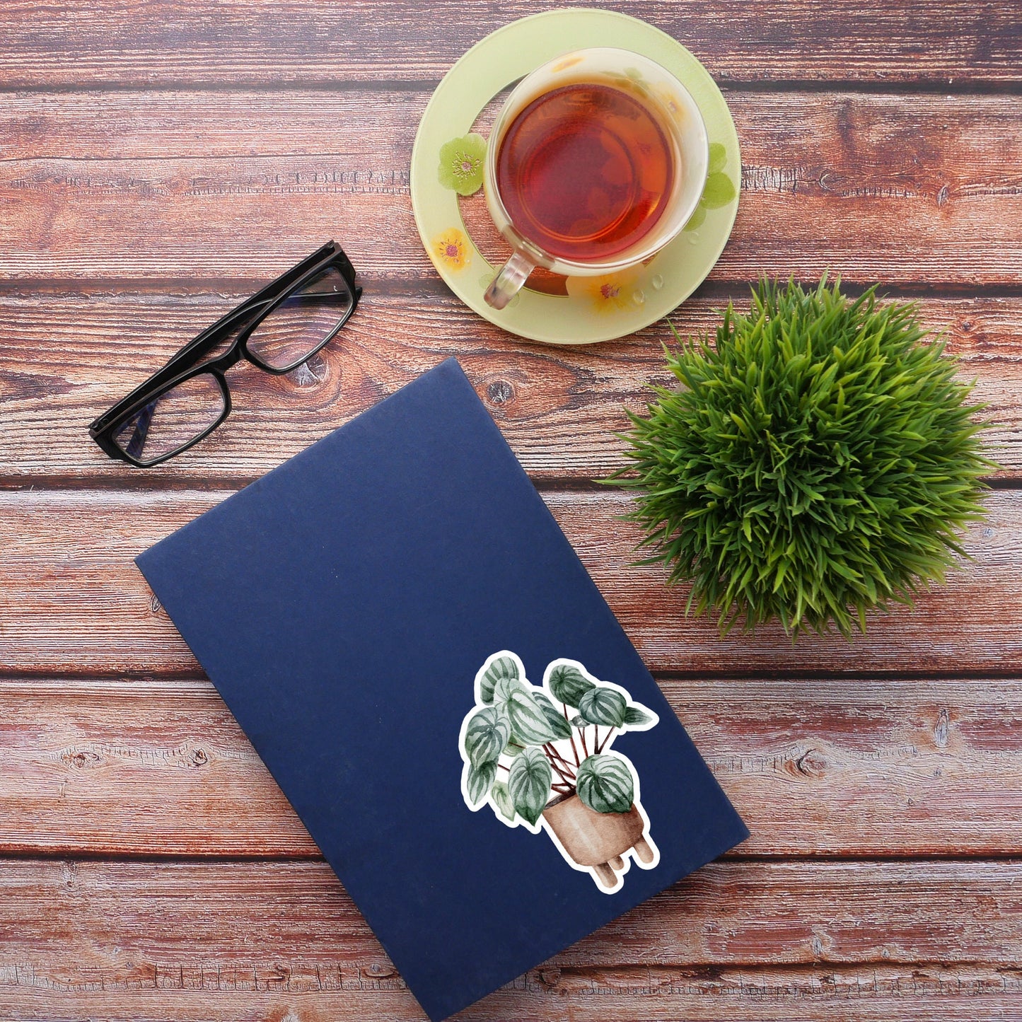 House plants Sticker, Waterproof and Dishwasher Safe Handmade cute Vinyl Sticker for gift, planner, book and laptop stickers