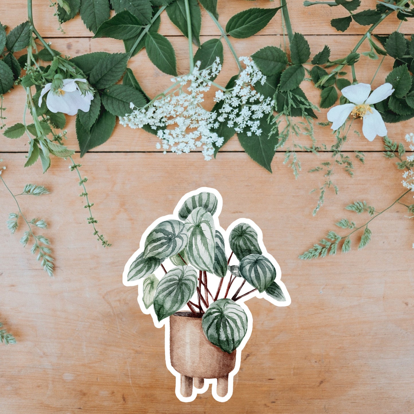 House plants Sticker, Waterproof and Dishwasher Safe Handmade cute Vinyl Sticker for gift, planner, book and laptop stickers