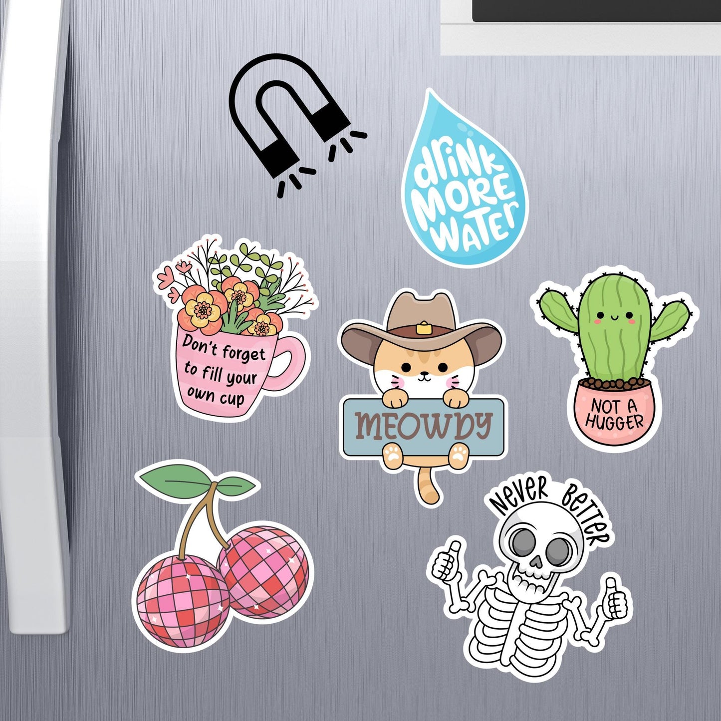 6 MAGNETS or your choice.  Ideal for fridge magnet and dishwasher / Gift for Her and Him